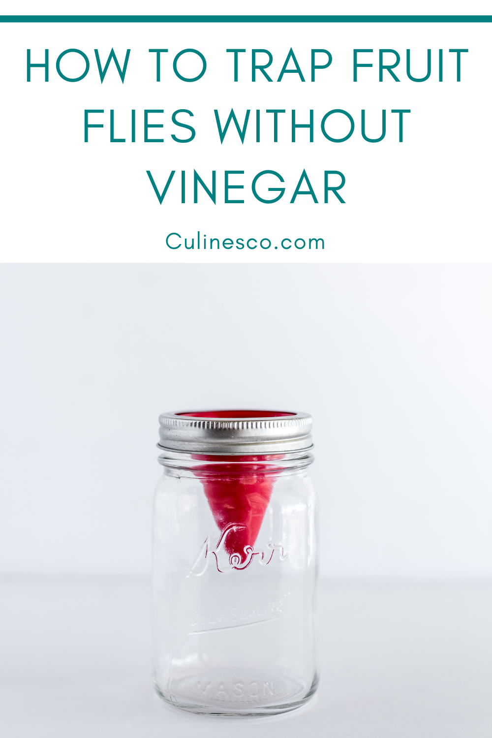 How to Trap Fruit Flies Without Vinegar - Culinesco - How To Get Rid Of Fruit Flies Without Vinegar