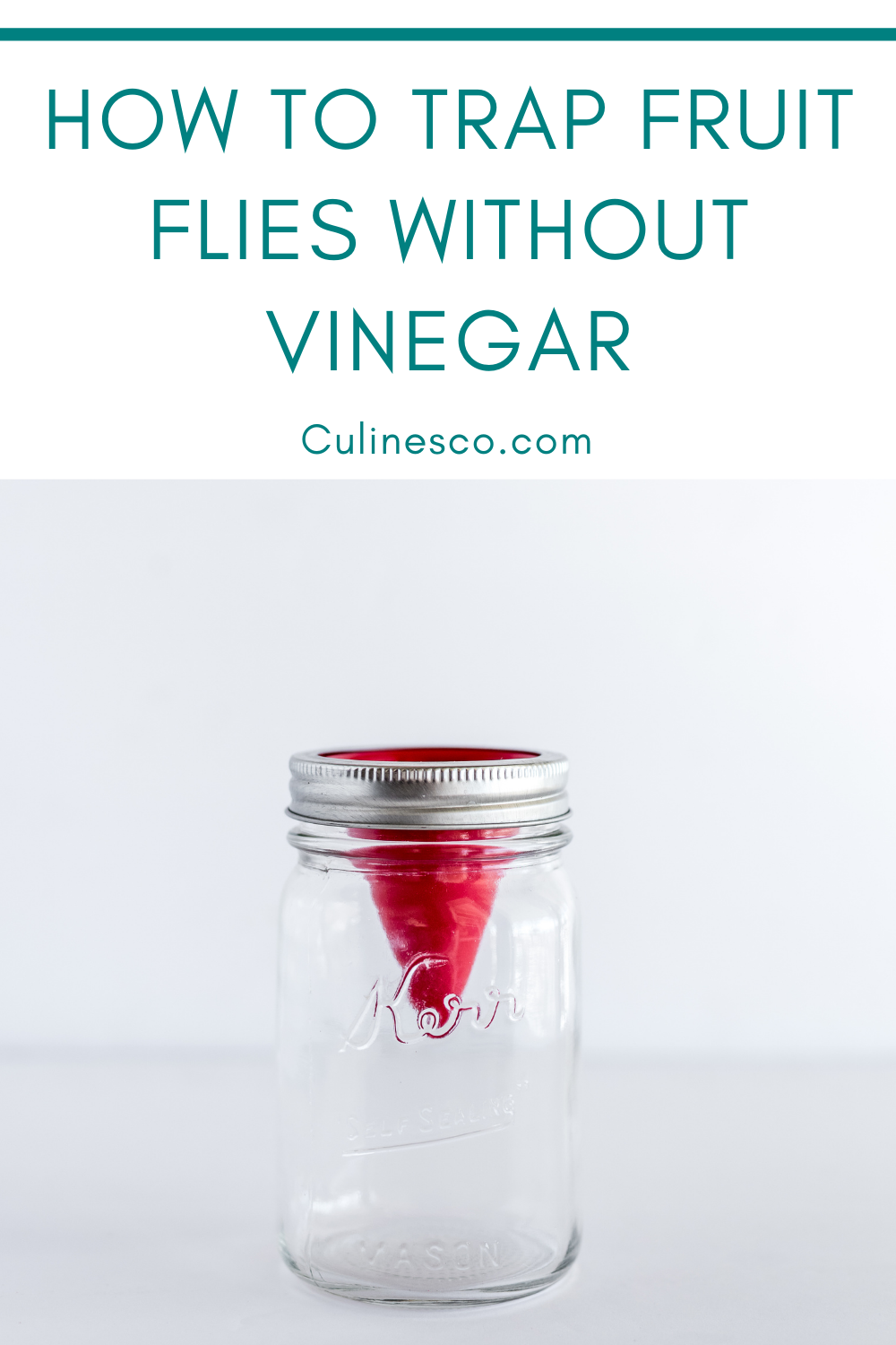 How To Make A Homemade Fly Trap Without Vinegar